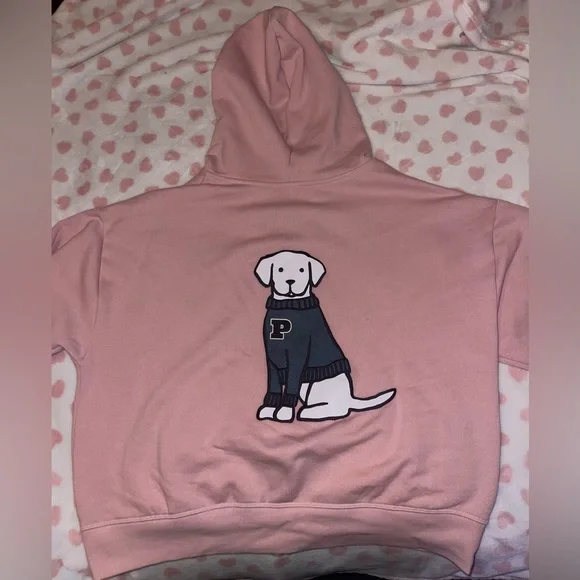 PINK Victoria's Secret Chalk Ross Full Zip Sweatshirt With Dog Embroidered Logo - Picture 3 of 7